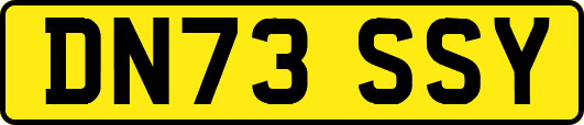 DN73SSY