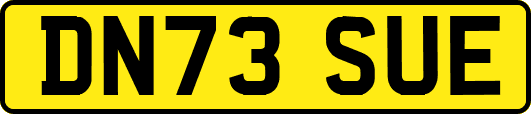 DN73SUE