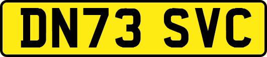 DN73SVC