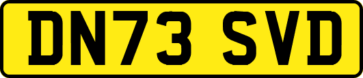 DN73SVD