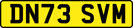 DN73SVM