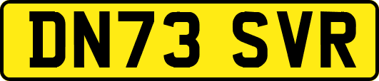 DN73SVR