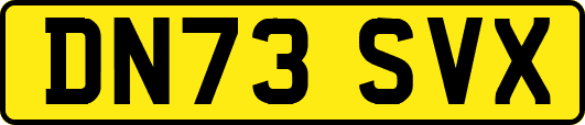 DN73SVX