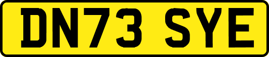 DN73SYE