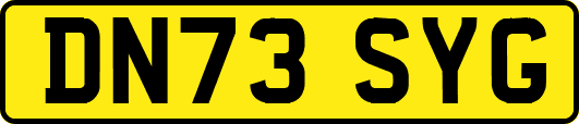 DN73SYG