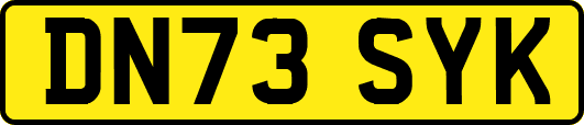 DN73SYK