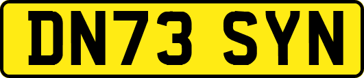 DN73SYN