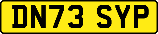 DN73SYP