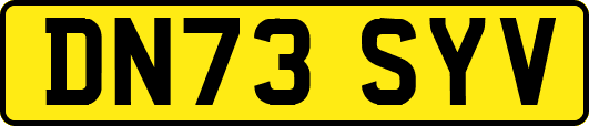DN73SYV