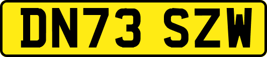 DN73SZW
