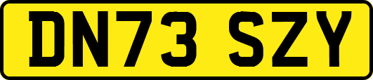 DN73SZY