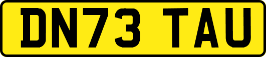 DN73TAU