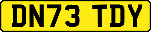 DN73TDY