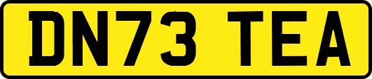 DN73TEA