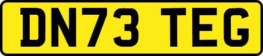 DN73TEG