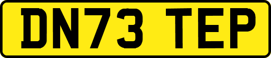 DN73TEP