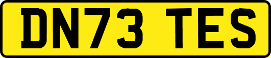 DN73TES