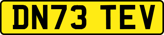 DN73TEV