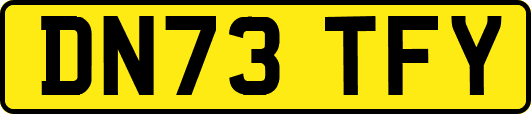 DN73TFY