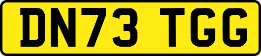 DN73TGG