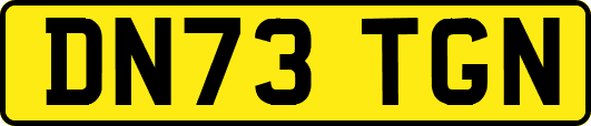 DN73TGN