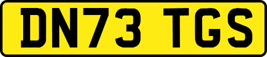 DN73TGS