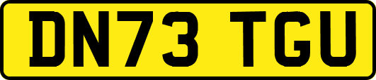DN73TGU