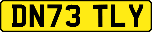 DN73TLY