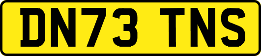 DN73TNS