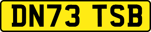DN73TSB