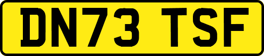 DN73TSF
