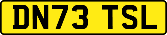 DN73TSL