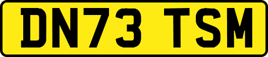 DN73TSM