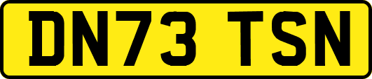 DN73TSN