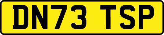 DN73TSP