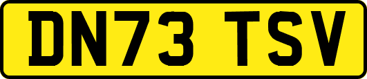 DN73TSV