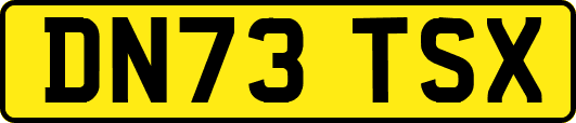 DN73TSX
