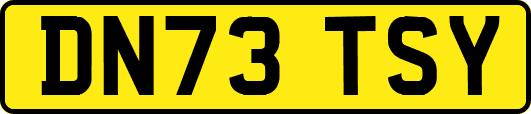 DN73TSY