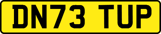 DN73TUP