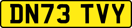 DN73TVY