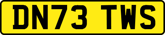 DN73TWS