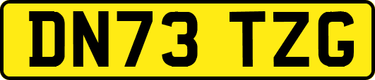 DN73TZG