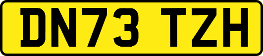 DN73TZH