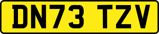 DN73TZV