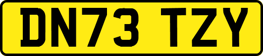 DN73TZY