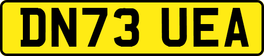 DN73UEA