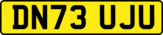 DN73UJU