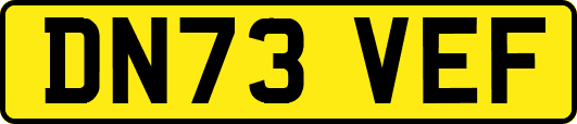 DN73VEF