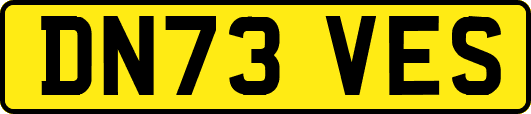 DN73VES
