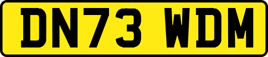 DN73WDM